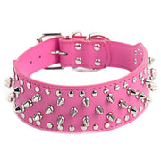 Large Dog Rivet Pet Collar