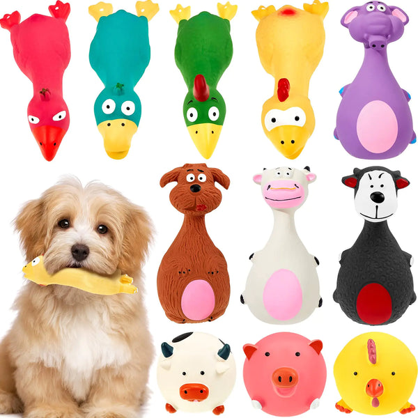 dog-squeaky-toys-11pcs-soft-rubber-chew-toy-set.jpg