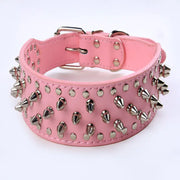 Large Dog Rivet Pet Collar