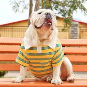 Summer POLO Corgi Big Dog Pet Clothes